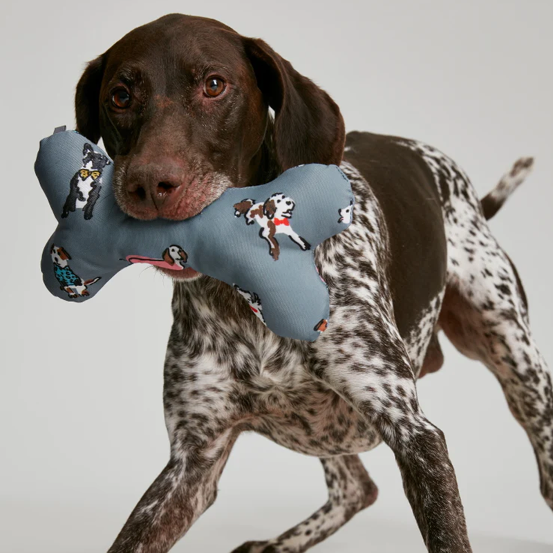 Joules Comfort Bone - Rainbow Dogs-1